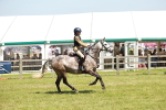SBM_16372