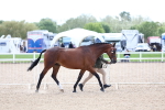 SBM_15329