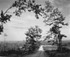 Road to Edie, Laurel Mountain, Pennsylvania 1984