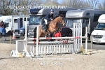 BPP_0447