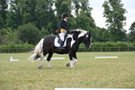 WJ6_6633
