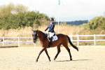 SBM_012012