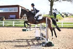 Cls 20 British Novice and 90cm Open portfolio