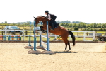 SBM_006904