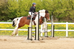 SBM_004476