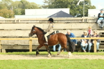 SBM_69052