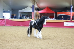 SBM_05448