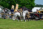 SBM_05885