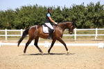 SBM_012011