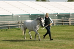SBM_00748