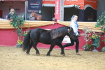 SBM_16581