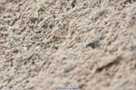 231013A-095958-00893