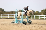 SBM_003235