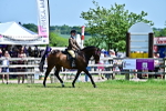 SBM_17446