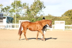 SBM_08298