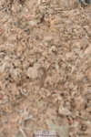 230511A-152655-01146