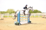 Class 12 - Senior 1.15m Open portfolio