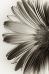 20140506-3K8A1022-2960