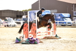 SBM_001860
