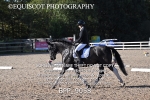 BPP_9058