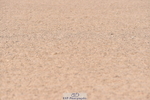 230720A-090606-01294