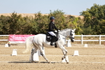SBM_017431