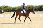 SBM_002864