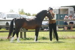 SBM_09081