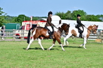 SBM_19551