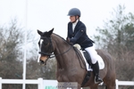 185-Natalie.Hingley-Hendricks portfolio