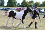 WJ6_6631