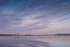 Bird reflections at Sandymount