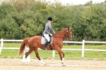 SBM_001351