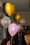 MEL_0496