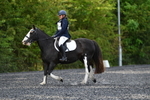 WJ5_9038