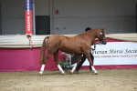 SBM_06544