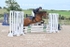 BPP_1643