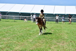 SBM_06108