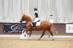 SBM_007661