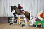 Class 2 - Senior British Novice - 90cm Open portfolio