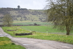 WJ5_4055