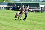 SBM_03608