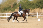 SBM_008471