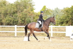 SBM_003686