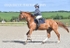 BPP_5555