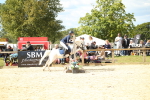 SBM_41298