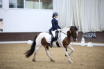 SBM_005499