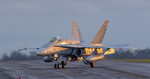 _J8A3190 copy