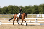 SBM_006856