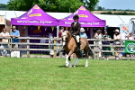 SBM_07955